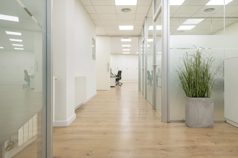 Passadís d'oficina reformada amb espai blanc i plantes