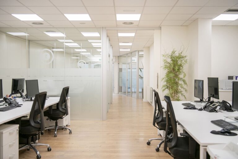Oficina reformada amb espai blanc i plantes